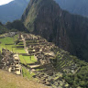 Meet your Posher, Trevor